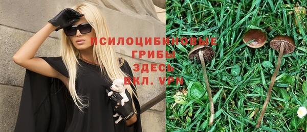 не бодяженный Магадан