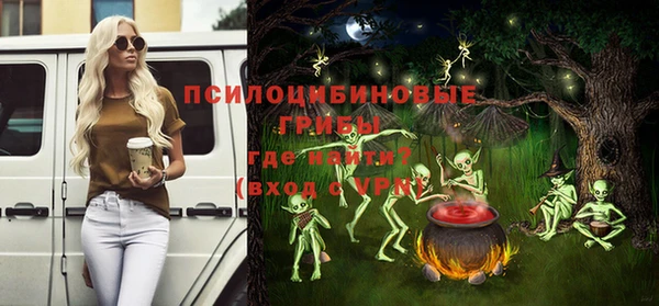 прущая мука Магас