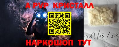 бошки Кимры