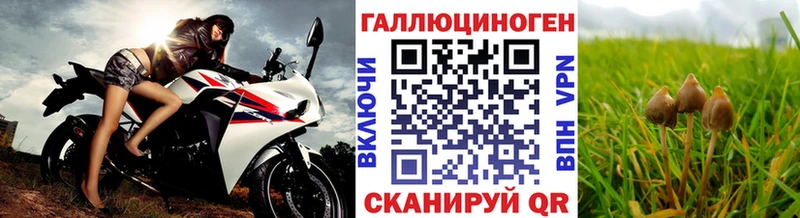 Галлюциногенные грибы мухоморы  Черногорск 